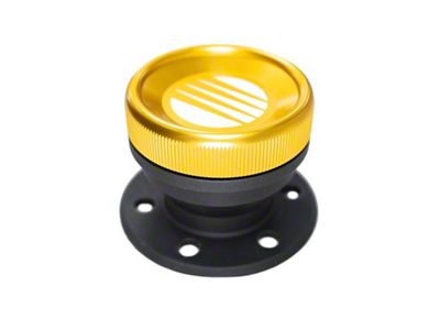 Fuellab Direct Fuel Filler Kit w/Cap - 63711