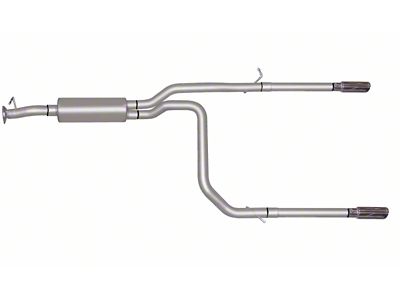 Gibson 00-05 Chevrolet Astro Base 4.3L 2.5in Cat-Back Dual Split - 65608