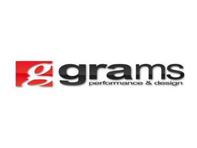 Grams Performance Honda Cushion Large O-Ring 21.3mm OD 13.7mm ID - G2-99-0099