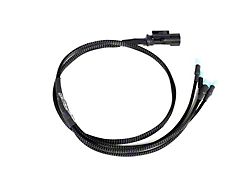 GrimmSpeed Hella Horn Wiring Harness (2015+ WRX/STI)