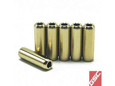 GSC Power Division P-D EcoBoost 3.5 6Cyl Manganese Bronze Intake OR Exhaust - 3018-12