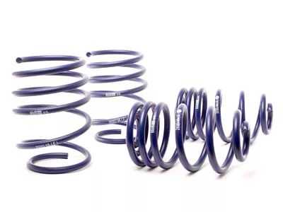 H&R 01-05 BMW 325Xi Sport Wagon E46 Sport Spring - 50419