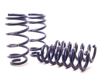 H&R 11-21 Dodge Charger SE/SXT/SXT Plus 2WD/4WD Rallye/Plus/V6 Sport Spring - 50881-6