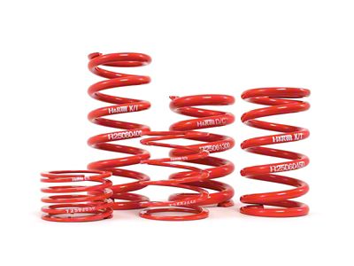 H&R 2.5 inch ID Single Race Spring Length 10 inch - R25100100