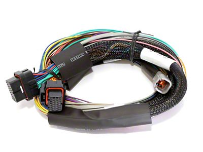 Haltech Elite 1500 8ft Basic Universal Wire-In Harness Excl Relays - HT-140902