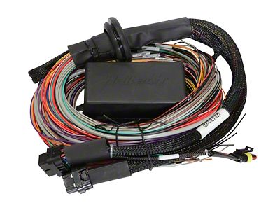 Haltech Elite 1500 8ft Premium Universal Wire-In Harness - HT-140904