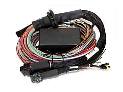 Haltech Elite 2500 & 2500 T 8ft Premium Universal Wire-In 