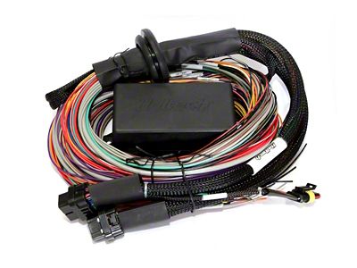 Haltech Elite 2500 & 2500 T 8ft Premium Universal Wire-In - HT-141304