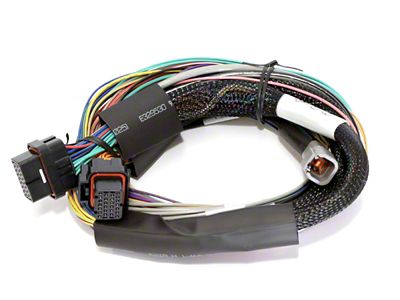 Haltech Elite 2500 8ft Basic Universal Wire-In Harness Excl Relays - HT-141302