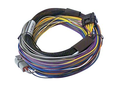 Haltech Elite 750 8ft Basic Universal Wire-In Harness - HT-140602