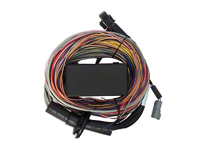 Haltech Elite 750 8ft Premium Universal Wire-In Harness - HT-140604