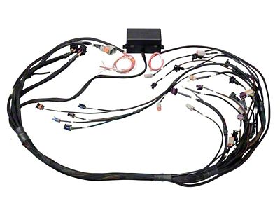 Haltech GM GEN III LS1 & LS6 Non DBW Elite - HT-141360