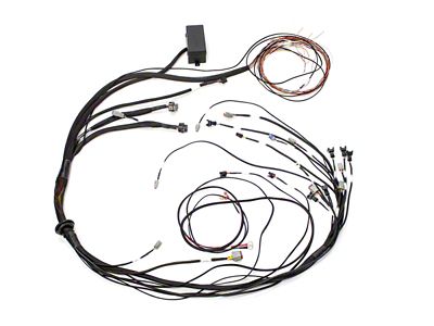 Haltech Mazda 13B S6-8 CAS w/Flying Lead Ignition Elite 1000 - HT-140879