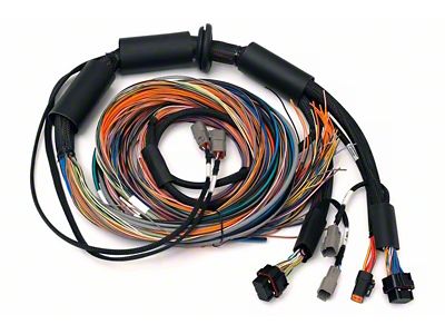 Haltech NEXUS R3 Universal Wire-In Harness - 2.5M 8ft - HT-183200