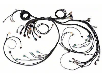Haltech NEXUS R5 LSx DBW Terminated Harness - DBW Ready - HT-186205