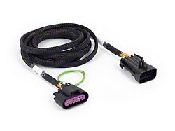 Haltech NEXUS Rebel LS Corvette Pedal Adaptor Plug-n-Play w/HT-186500 - HT-186507