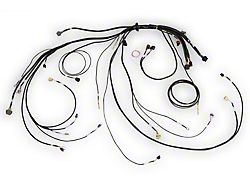 Haltech NEXUS Rebel LS Terminated Harness for ECU