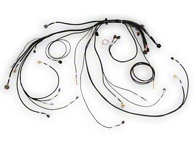 Haltech NEXUS Rebel LS Terminated Harness for ECU - HT-186500