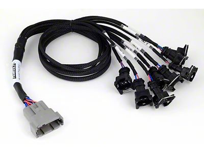 Haltech NEXUS V8 Junior Timer EV1 Injector Primary Breakout Plug-n-Play - HT-186000