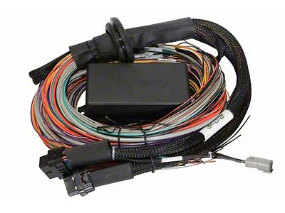 Haltech Universal Elite 2500/2500 T Premium Wire-In Harness - HT-141306