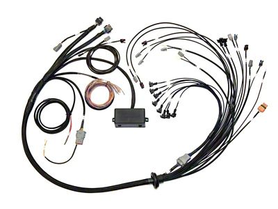 Haltech V8 Big/Small Block GM/Ford/Chrysler Elite 2000/2500 Terminated Harness w/EV1 - HT-141376