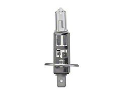 Bulb H1 12V 55W P145S T25 2 