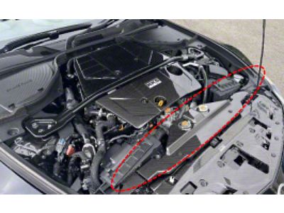 HKS 2023 Nissan Z Dry Carbon Radiator Cover - 70026-AN003