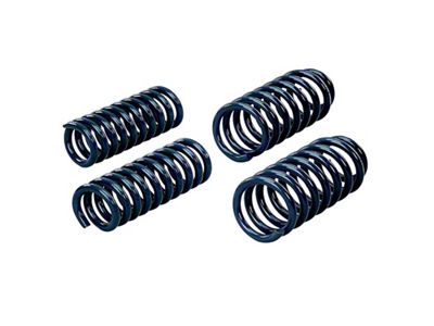 Hotchkis 05-07 Dodge Magnum / Chrysler 300C Performance Coil Springs - 19101