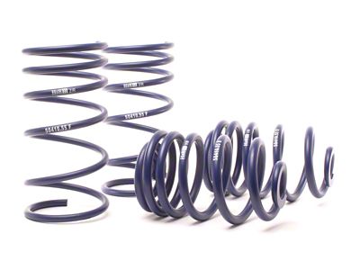 H&R 94-96 BMW M3 3.0L E36 OE Sport Spring Non - 50410-55