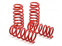 H&R 08-13 BMW M3 Coupe/M3 Sedan E92 Race Spring - 50493-88