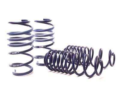 H&R 10-19 Ford Fiesta 1.6L/1.0L EcoBoost Super Sport Spring - 51641-77