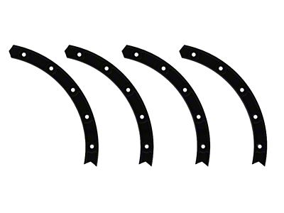 ICON Vehicle Dynamics 17in Compression/Alpha/Rebound Wheel Rock Ring Kit 20 Bolt - 192050