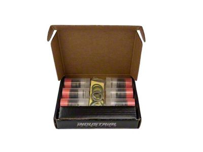 Industrial Injection Dodge 12V Laser Cut Delivery Valves w/ Washers - 232606