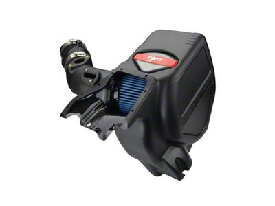 Injen 17-19 Honda Civic Type-R FK8 2.0L Turbo Evolution Air - EVO1502