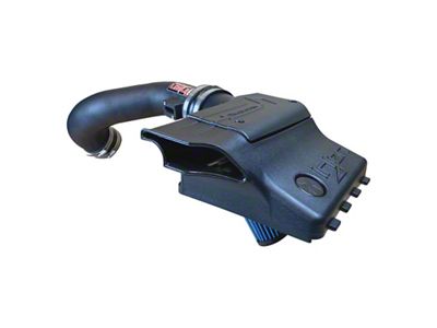 Injen 10-14 Ford F-150 5.0L V8 Evolution Intake - EVO9108