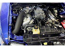 JLT 03-04 Ford SVT Cobra 12in Black CAI Kit w/Red - 12-FMC-0304