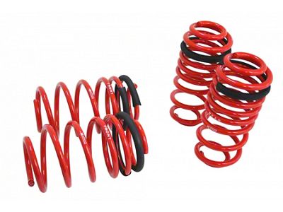 Megan Racing Lowering Springs - Euro-Version for Audi A3 Wagon 06-13 / Volkswagen GTS - MR-LS-VWG06