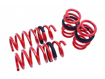 Megan Racing Lowering Springs - Euro-Version for Audi R8 Coupe / Cabriolet 08-15