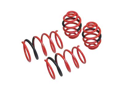 Megan Racing Lowering Springs - Euro-Version for BMW Z3 96-01 - MR-LS-BZ3