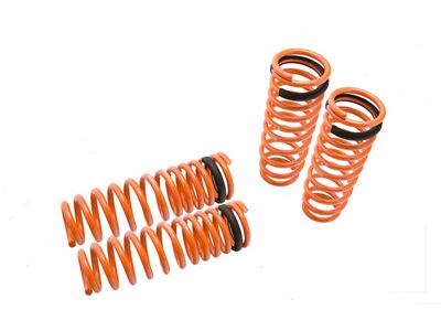 Megan Racing Lowering Springs for Honda Civic/Del Sol 92-00 / Acura Integra 94-01 - LS-HC92