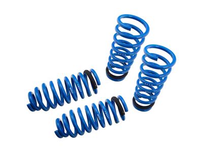Megan Racing Lowering Springs for Lexus GS400/GS430 98-04 - MR-LS-LG498