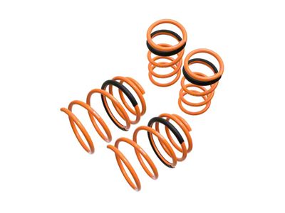 Megan Racing Lowering Springs for Nissan Maxima 04-08 / Altima 02-06 - LS-NA02 - LS-NA02