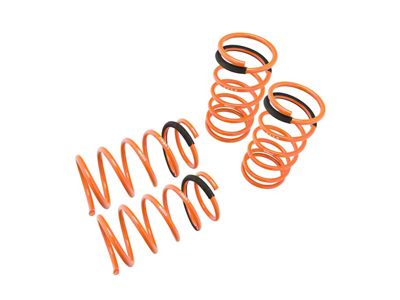 Megan Racing Lowering Springs for Nissan Sentra 89-94 - LS-NS89 - LS-NS89