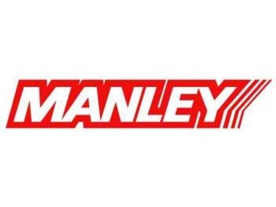Manley Performance Bushing - Diesel OPS Rods