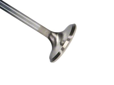 Manley Performance LT-1 6.2L 1.590in Head Diameter Pro Flo/Severe Duty (Chevy)