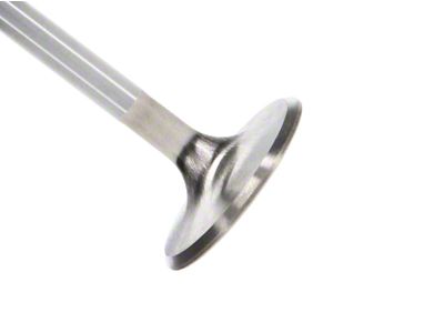 Manley Performance 4.6L DOHC 4 Valve Triple Groove 37mm Race - 11616-8