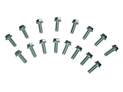 Moroso Ford 4.6L/5.4L Header Bolts - 38712