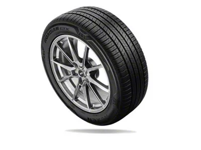 Nexen Roadian GTX Tire (28" - 235/50R19)