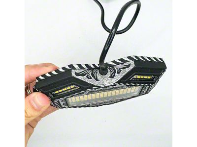 North Georgia Lighting 150-LED Hand Engraved Rock Light; Pure White (Universal; Some Adaptation May Be Required)