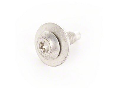 Omix-ADA 87-95 Jeep Wrangler Hard Top Mounting Screws - 11840.07